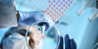 產(chǎn)品與服務(wù)